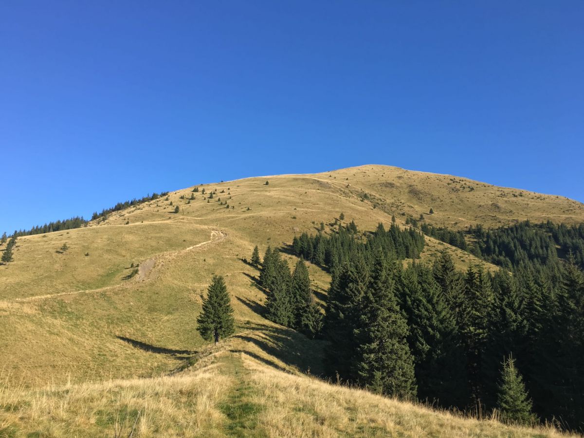 Redescopera Muntii Baiului alaturi de Stafeta Muntilor