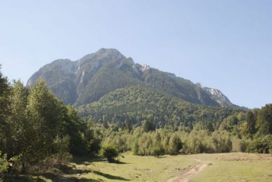 Pentru un viitor verde!